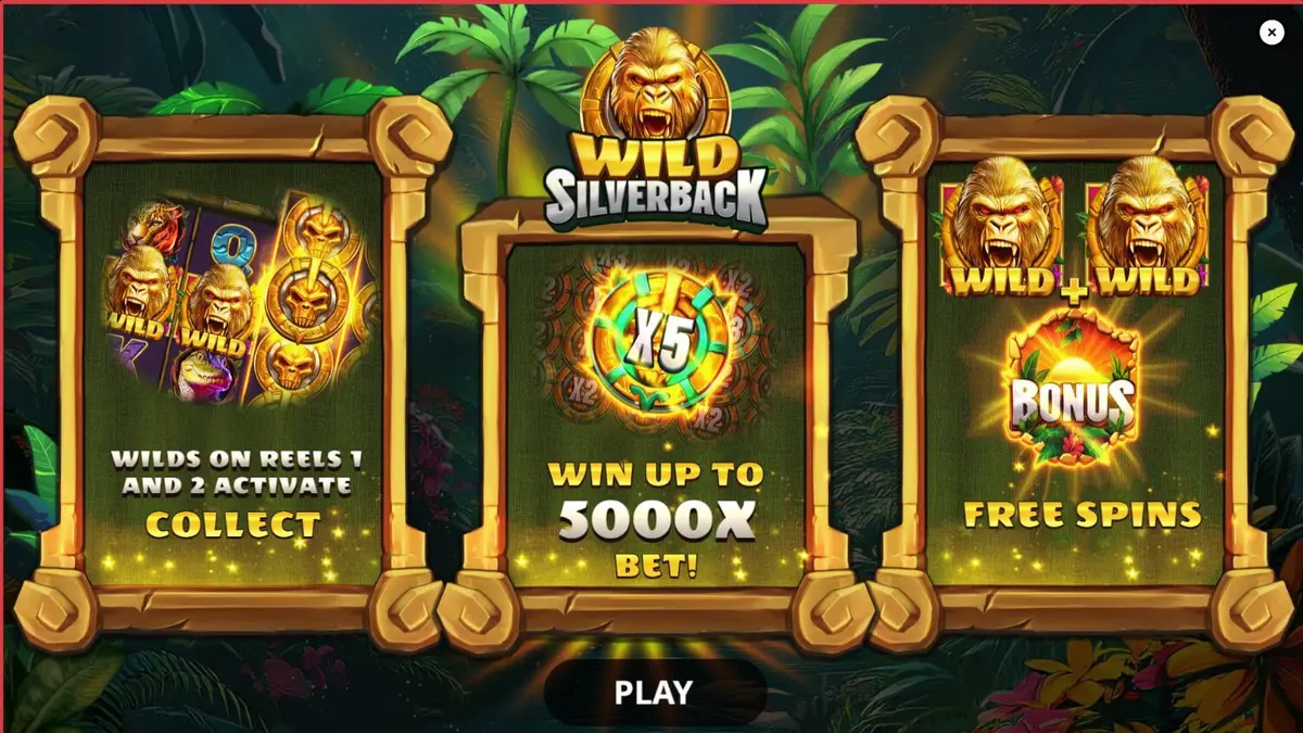 O majestoso gorila prateado em meio a uma selva exuberante no slot Wild Silverback.